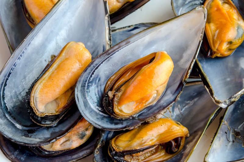 殻付きムール貝