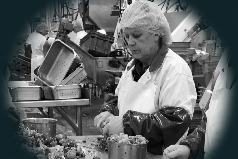 真つぶ貝を人の手で一粒ずつ丁寧にむき身に