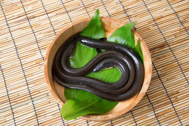 うなぎ