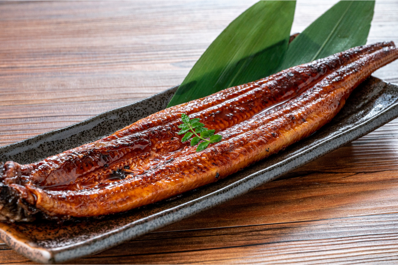 うなぎ蒲焼_盛付