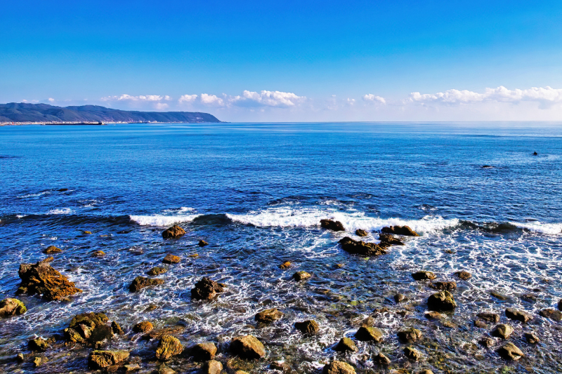 高知県の海岸線